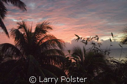 Taveuni, Fiji...sunrise by Larry Polster 